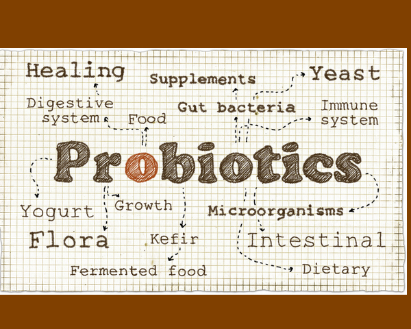 55340645 - illustration about probiotics with soft pen on old paper